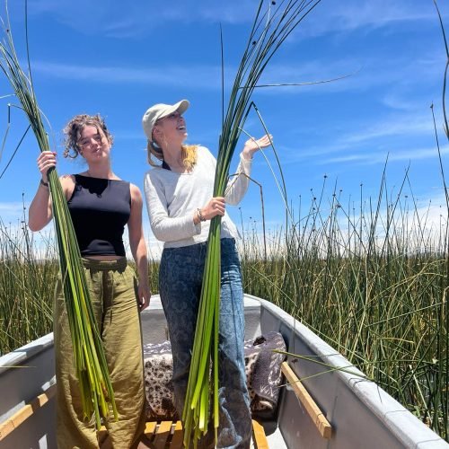 WhatsApp Image 2025-12-30 at 11.01.56 AM